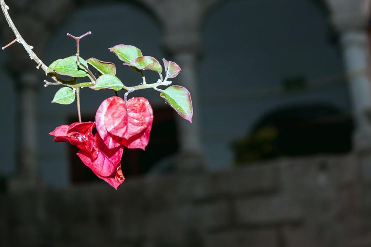 Sungate Hostel Cuzco Kültér fotó